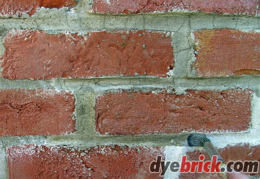 Applying Dyebrick 1